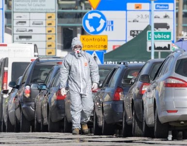 Miniatura: Hiszpania dołącza do Włoch. To drugi kraj...