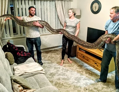 Miniatura: W trzypokojowym domu mieszka z żoną,...