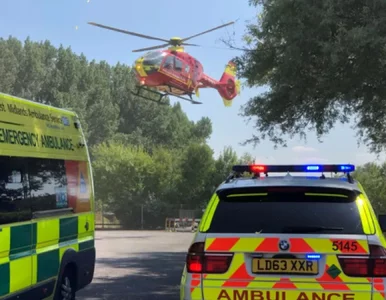 Miniatura: Brutalny atak dwóch psów w Wielkiej...