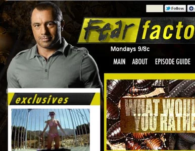 Miniatura: Mieli wypić spermę osła na antenie. NBC...