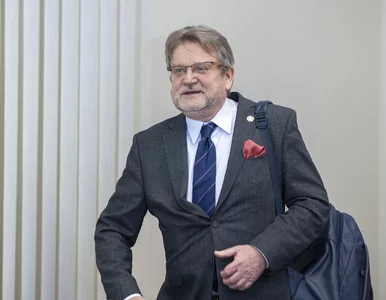 Miniatura: Za dymisją szefa GIS nie stały tylko...