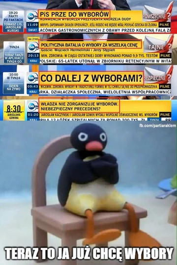 Memy z niedoszłych wyborów 10 maja 