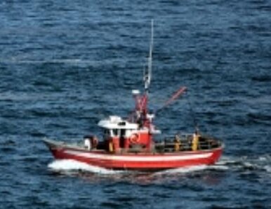 Miniatura: Unijne miliony dla Podlasia. Na rozwój...