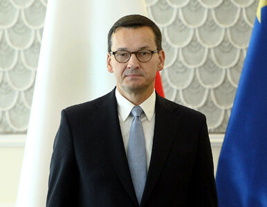 Miniatura: Morawiecki: Piotrowicz w pierwszych latach...