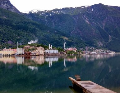 Miniatura: Masowe zatrucie Polaków w Norwegii....