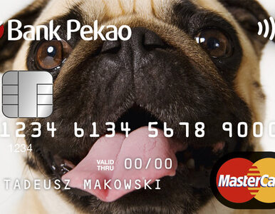 Miniatura: Bank Pekao jako pierwszy umożliwia...