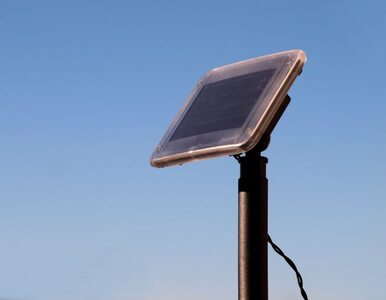 Miniatura: Belgowie inwestują w energią słoneczną. W...
