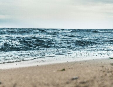 Miniatura: Wrak i dwie hipotezy. To nie złoty pociąg,...