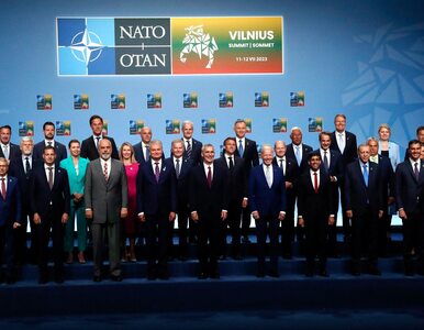 Miniatura: Kiedy Ukraina dołączy do NATO? Szefowie...