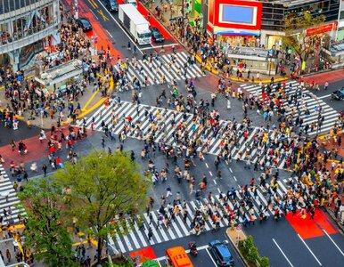 Miniatura: Dużo kolorów i słynny pomnik. To...