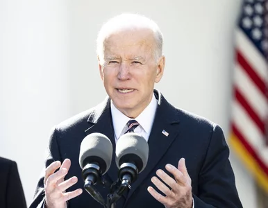 Miniatura: Prezydent Zełenski przez godzinę rozmawiał...