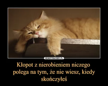 Praca, praca i jeszcze raz praca. Internauci tworzą MEMY 