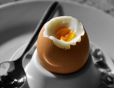 Miniatura: Czy można jeść jajka na miękko codziennie?...
