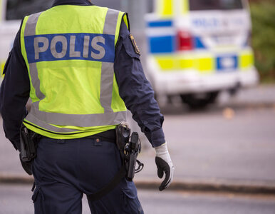 Polak skazany na dożywocie za zabójstwo żony w Szwecji. Ciało ukrył w lesie