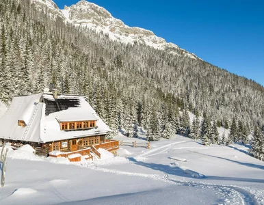 Miniatura: Bilety na wycieczki w Tatrach nawet za 7...