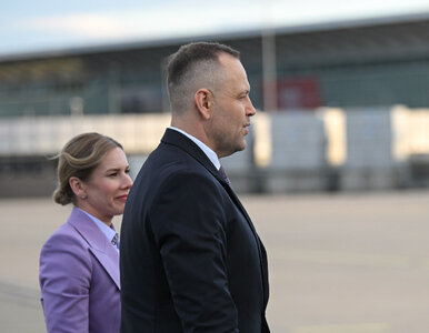 Miniatura: Polacy ocenili Nawrockiego. Nie byli...