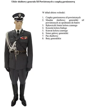 fot. MON/Polska-Zbrojna.pl