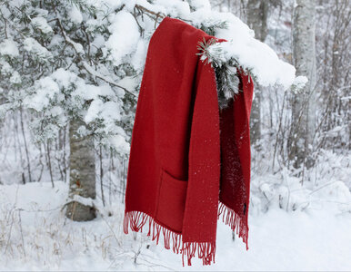 Miniatura: Zrób to zimą z pościelą. Mróz robi więcej...