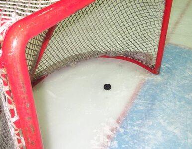 Miniatura: NHL: gdy uderza Zdeno Chara, krążek pędzi...
