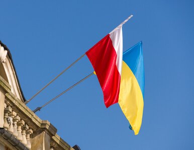 Miniatura: PiS chce ulicy Ofiar UPA. Do ratusza...