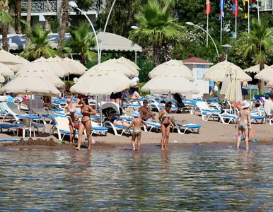 Miniatura: Polacy uwielbiają ten kraj. Teraz polecą...