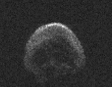 Miniatura: Kometa w kształcie czaszki znów przeleci...