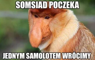 Polacy kończą występy na mundialu - mem 