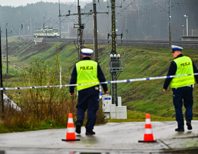 Miniatura: Rząd ujawnia kulisy dywersji. Służby miały...