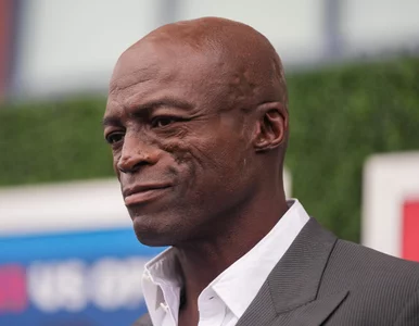 Miniatura: Skąd się wzięły blizny na twarzy Seala?...