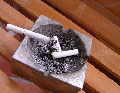 Miniatura: Nie będzie zakazu na papierosy mentolowe?...