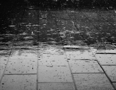Miniatura: Przelotne opady deszczu i burze. Prognoza...