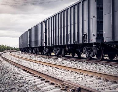 Miniatura: Tajemnicze oferty pracy. Amerykański...