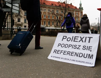 Miniatura: Prof. Chwedoruk: Eurosceptycyzm w Polsce...