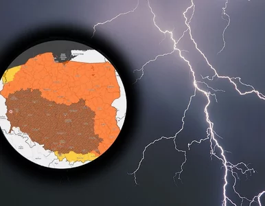 Miniatura: Zagrzmi i przysmaży. Do Polski wchodzi...