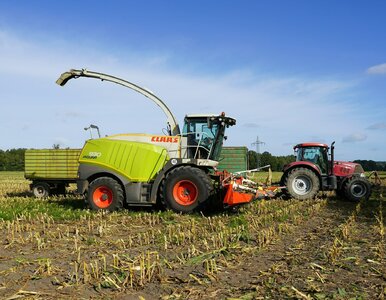 Miniatura: QUIZ o życiu na wsi. Mieszczuchy nie...