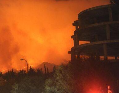 Miniatura: Pożary trawią Hiszpanię. Turyści ewakuowani