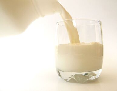 Miniatura: Koniec ze szklanką mleka dla uczniów?
