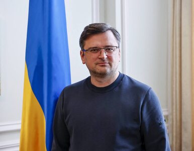 Miniatura: Szef MSZ Ukrainy apeluje do Niemiec. „Nie...