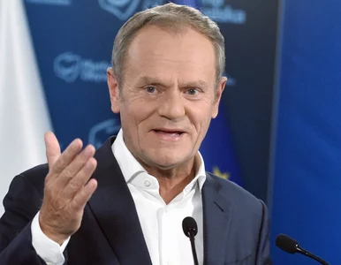 Miniatura: W PO popłoch. „Tusk posłuchał Sienkiewicza...