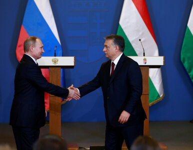 Miniatura: Władimir Putin pogratulował Orbanowi...