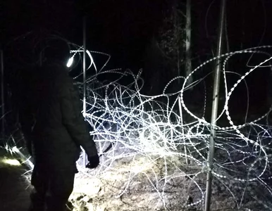 Miniatura: Granica polsko-białoruska. Próba...