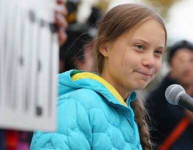 Dorośli uważają Thunberg za „wściekłą”? 16-latka odpowiedziała