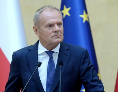 Miniatura: Tusk zapowiedział wejście „naszych...