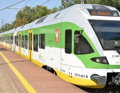 Miniatura: 3 grudnia ta grupa turystów jeździ za...