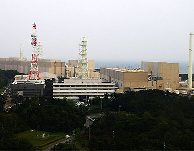 Miniatura: Japonia sprawdzi wytrzymałość elektrowni