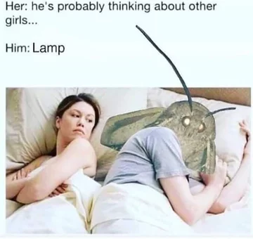 Mem z ćmą 