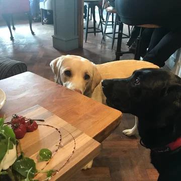 Olive i Mabel 