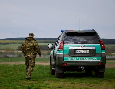 Miniatura: Grupa migrantów przeprawiła się przez...