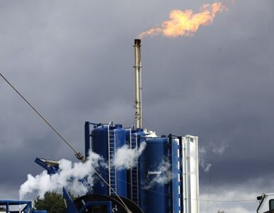 Miniatura: Niemiecki minister środowiska kontra gaz z...