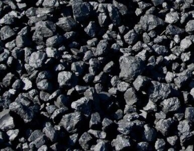 Miniatura: Samorządy zgłaszają się po węgiel....